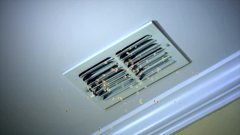 Best Professional Duct Cleaning Services  in Inglewood, CA